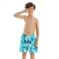 thumbnail image 2 of Family Matching Father Son Swim Trunks and Boys Quick Dry Swimwear, 2 of 5