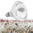 thumbnail image 4 of Breeding Heating Lamp, Long Time Use Therapy Basking Spot Heat Lamps Infrared  For Breeding Chickens AR38 White Glass Pitting, 4 of 8