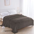 thumbnail image 3 of Solid Color Flannel Blanket Gift Gift Velvet Conditioning Blanket Casual Cover Blanket Solid Color Blanket 59.05x39.37 Inches, 3 of 7