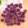 thumbnail image 4 of jifeng 200 Pcs Bouquet Givré Noël Mariages, 4 of 9