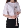 thumbnail image 4 of Pocket Saxophone ABS Sax Mini Portable Saxophone Little Saxophone With Carrying Bag Woodwind Instrument, 4 of 7