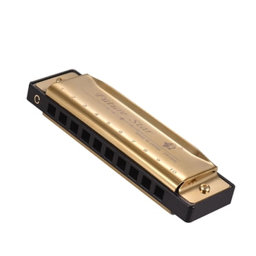 Key of C Diatonic Harmonica Mouthorgan with ABS Reeds Mirror Surface Design 10 Holes Blues Harmonica Perfect for Beginners Professional Students Kid Gold