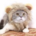 thumbnail image 3 of Halloween Transforms Into Festival Pet Dog Cat Hat Adjustable Dog Supplies Cat Clothes Clothing Pet Clothes Rack Pet Clothes for Small Dogs Girl Pet Clothes for Small Dogs Boy Pet Clothes for Small, 3 of 3