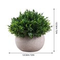 thumbnail image 2 of Artificial Plant Potted Lifelike Round Fake Greenery Plant Faux Plant Decoration, 2 of 10