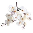 thumbnail image 2 of 5 Griffes et 20 Têtes de Bouquet Artificiel de Magnolia Glaïeul, 2 of 7