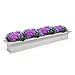 thumbnail image 3 of Yorkshire Window Box, 3 of 5