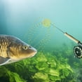 thumbnail image 3 of 6PCS Spherical Soft PVC Fishing Lures Slow Sinking Flexible Baits Four Colors for Catfish Freshwater Fishing Tackle, 3 of 3