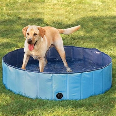 Forever Speed Dog Pool, Doggy Pool, Cat Pool, Foldable Pool, Children's Bathtub, Environmentally Friendly PVC, Non-Slip, Well Sealed Pets, Children's Gifts (80 * 20cm) Blue