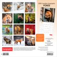 thumbnail image 2 of Foxes 2026 Square Wyman, 2 of 3