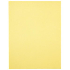 Domtar 81067 Lettermark Multipurpose Coloured Paper 8-1/2 x 11 canary (Pack of 500)