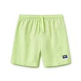 thumbnail image 1 of Speedo Boy's UV Protection Swim Trunk Mid Length Solid Shorts - Sharp Green, Size XL, 1 of 2