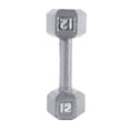 thumbnail image 1 of CAP Barbell Cast Iron Hex Dumbbell, 1 of 6
