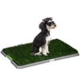 thumbnail image 1 of PawHut Artificial Grass Pee Pad for Dogs Potty Training, 1 of 10