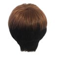 thumbnail image 2 of RKSTN Perruques Cheveux Humains Perruque Synthétique pour Femmes Perruques Lisses pour Femmes Perruque en Cheveux Naturels Perruques avec Chaleur Perruques Sans Colle, 2 of 5