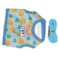 thumbnail image 3 of Cat Leash,  Harness And Leash Set Fine Workmanship Wear   For Ferret For Kitten For Guinea Pig, 3 of 8