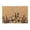 B, variant on Binwennn Home Rug Spring Welcome Doormat Non Mat Mat Funny Home Mats For In Door Entrance Door Mat Welcome Mat For Indoor Outdoor Rug And Mat Home For Season