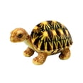 thumbnail image 2 of EGNMCR 12.6 In Simulation Turtle Doll Turtle Plush Toys Cloth Doll Souvenir Plush Toys For Children Birthday Gift Simulation Fluffy TurtleSnakerabbit Birthday Gifts for Kids, 2 of 6