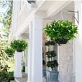 thumbnail image 3 of Artificial Morning Glory Home Decoration Green Green Plastic (1X Artificial Morning Glory), 3 of 3
