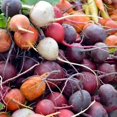 thumbnail image 2 of HJADGG Beet Blend Rainbow Mix Seeds-300 Seeds-Colorful, Heirloom & Open-Pollinated Varieties-Rich in Nutrients, 2 of 3