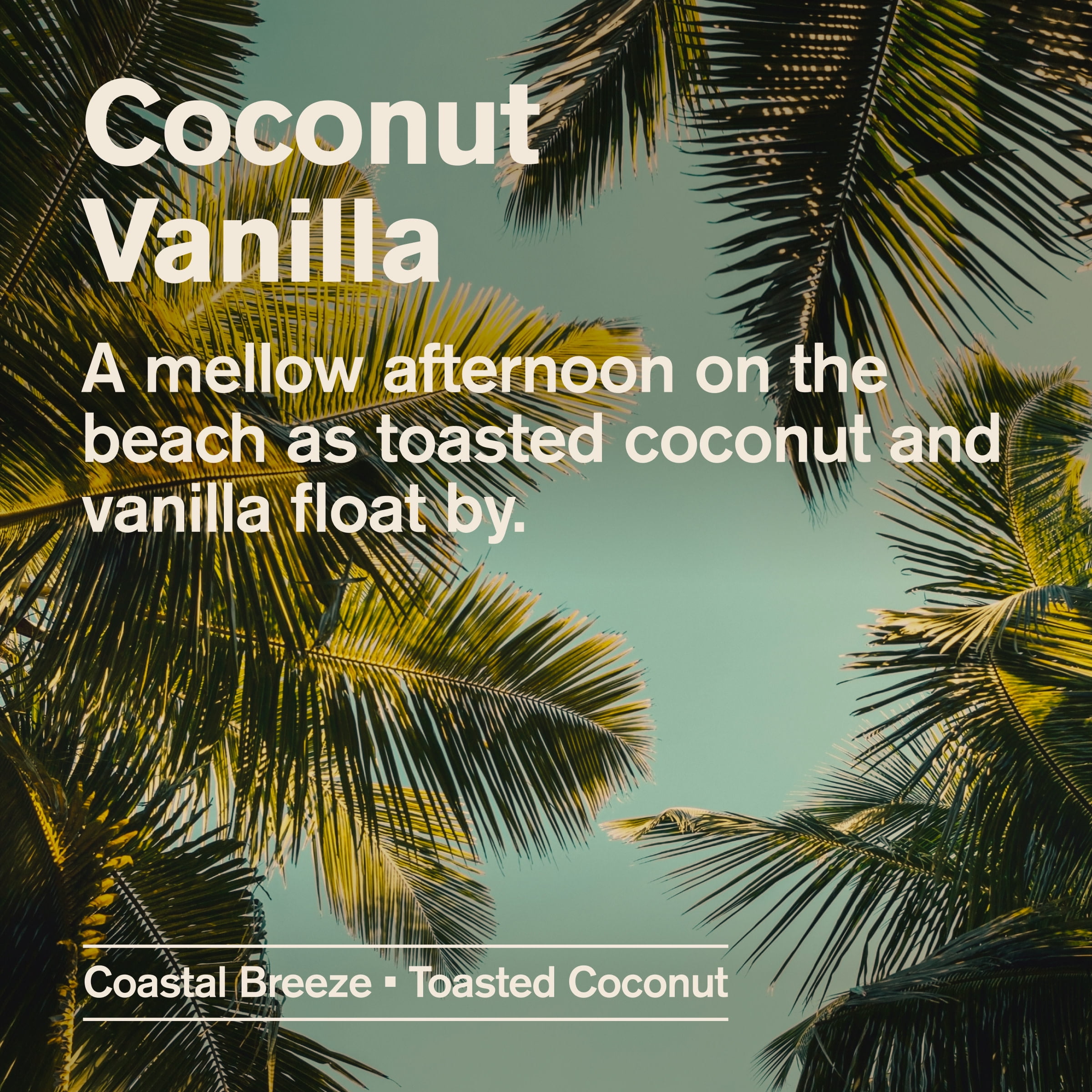 Every Man Jack Nettoyant pour le corps - noix de coco + vanille 500mL
