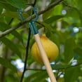 thumbnail image 4 of Tree Branch Support,Metal Tree Crutch Support Device ,Tree Leaning Tree Straightening Kit,Propping Up Branch Spreaders Fruits Tree Garden Stakes Broom Pole Anchor,Round Pipe Garden Yard, 4 of 6
