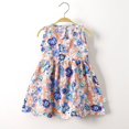 thumbnail image 1 of LOVZFMLL Girls' Summer Sleeveless Ruffled Lace Round-Neck Embroidery Mesh Princess Bow Skirt, 1 of 3