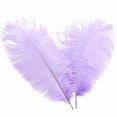thumbnail image 2 of Ostrich Feather 30-35Cm Color Feather Decoration 61# Light Purple M Feather (1*Feather), 2 of 7