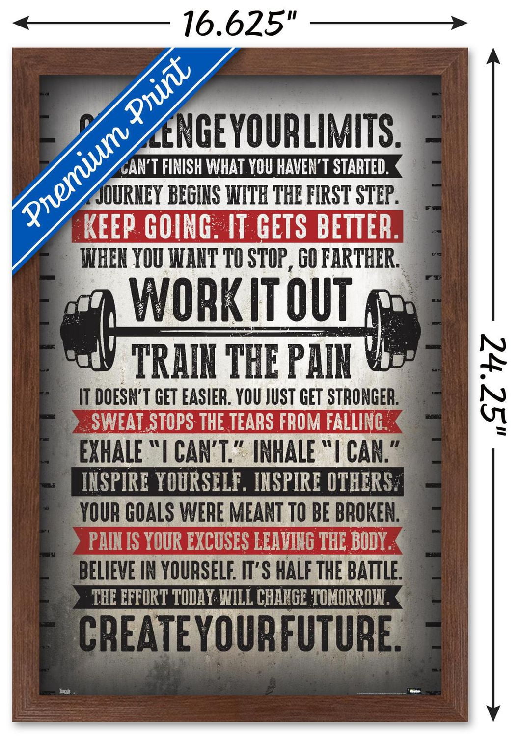 Challenge Your Limits Wall Poster, 14.725" x 22.375"
