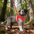 thumbnail image 4 of ERK 1Pcs Cat Harness And Leash For Walking Adjustable Vest With Reflective Strap For Puppy, 4 of 4