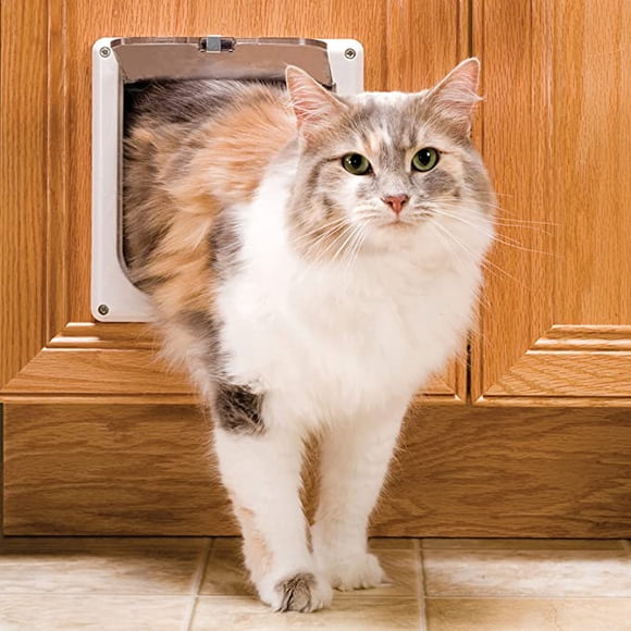 PetSafe Porte Intérieure pour Chat : Verrouillage à 2 Voies, Battant de Porte pour Animal d'Intérieur - Porte Teintée d'Intimité pour Bac à Litière pour Chat Ou Mangeoire pour Animal, Serrure de Porte Intégrée,