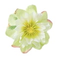 thumbnail image 1 of Flowers for Decoration Imitation Flower Head Silk Flower Head Decoration Diy Manual Imitation Flower Material Imitation Flower Decorationfake Flowers for Decoration, 1 of 6