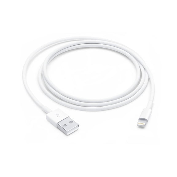 Apple Câble Lightning vers USB (1 m) pour iPhone, iPad, Airpods, iPod