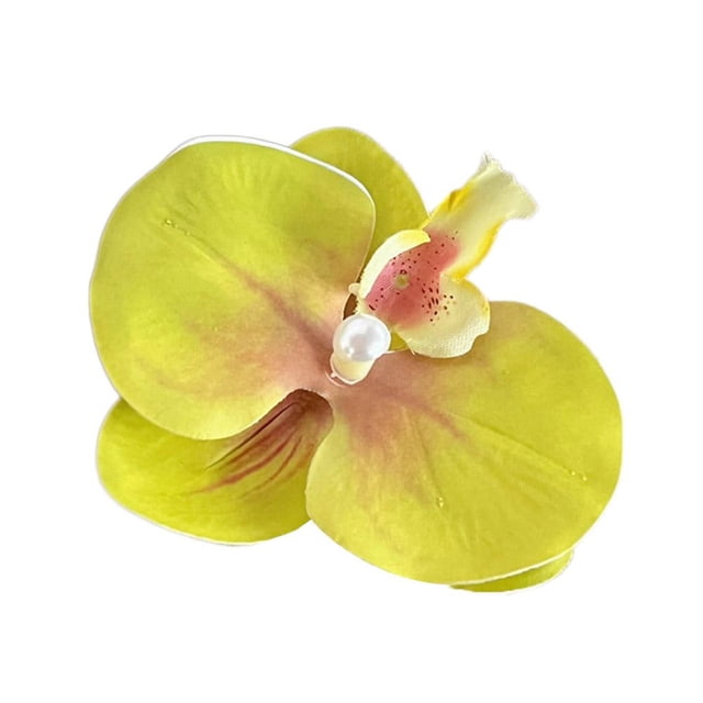 Épingle à Cheveux Orchidée Phalaenopsis 2025 Nouveau A0B2