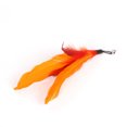 thumbnail image 2 of Pet Cat Dogs Toys Funny Interactive Plush Toy Caterpillar Feather Stick Wand Replacement Head, 2 of 2