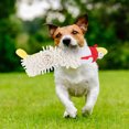 thumbnail image 4 of Small Dog Plush Toy, Pet Toy, Plush Toy Soft Material Non- For Kids Dog, 4 of 8