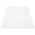 thumbnail image 4 of ECARPET Modern Shag Area Rug, Super Soft , Fluffy Carpet for Living Room, Bedroom, Hallway, Entrance, Non Slip Cotton Backing, Blizz Collection, 4 of 9
