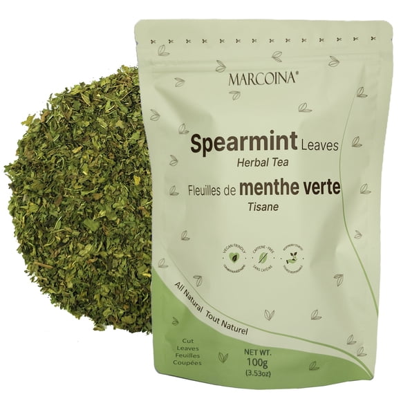 Spearmint Herbal Tea 100g by MARCOINA - Cut Leaves, Loose, Caffeine-Free (3.53 oz)