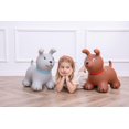 thumbnail image 4 of My First Jumpy Dog, Grey, 4 of 4
