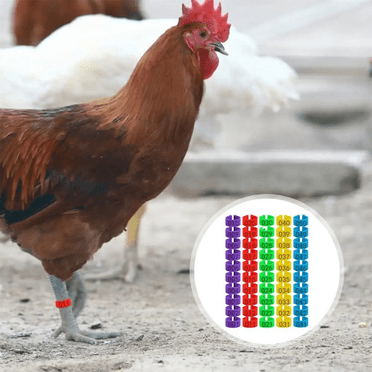 Chicken Thigh Ring Clip Numbered Leg Band Tags Chickens Ducks Leg Rings Clip Poultry Foot Rings
