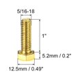 thumbnail image 2 of Unique Bargains Brass Hex Bolts, 5/16-18x1' 5 Pack Fully Thread Grade 4.8 Machine Screws, 2 of 4