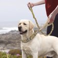 thumbnail image 3 of DEELLEEO Durable Tactical Dog Harness and Leash Set Adjustable  Pet Collar Leash Medium Large Dog Training Accessories, 3 of 7