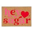 thumbnail image 1 of Tapis de Porte Extérieurs, Intérieurs et Extérieurs, Tapis de Porte Résistants à l'Eau pour Porte d'Entrée, Salle de Bain et Entrée avec Endos Antidérapant, 1 of 1