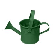 Galvanized Steel Watering Can for Indoor and Outdoor Mini Tinplate Kettle with Handle Gardening Tool Accessory