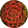 thumbnail image 1 of Ahgly Tapis Rond Lavable en Machine Intérieur Transitionnel Acajou Brun, 5 Pieds Rond, 1 of 7