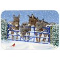 thumbnail image 1 of Donkeys & Cardinal Kitchen or Bath Mat, 20 x 30, 1 of 1