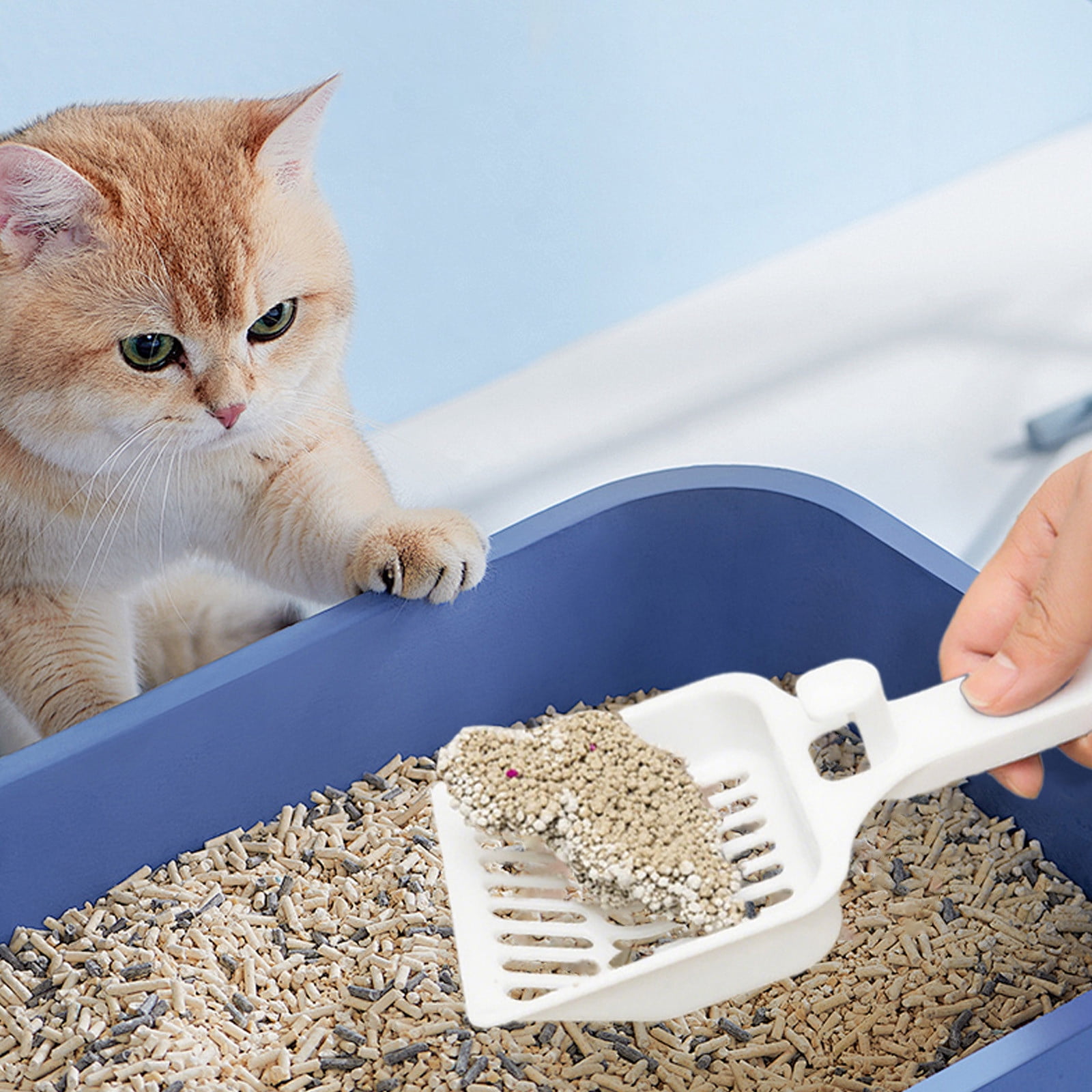 Cats Litter Scoopss Pet Cleaning Tool Cats Litter Scoopss Sieve For Cats And Dogs