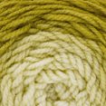thumbnail image 4 of Lion Brand Mandala® Gradient Yarn #4 Medium/Worsted Yarn 150g/270m 3-Pack, 4 of 9