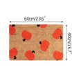 thumbnail image 3 of Boovnll Door Mat Outside Entrance, Soft Absorbent Catch Mud New Floor Mat Hallway Kitchen Foot Mat Soft Carpet, Front Door Mat Outside Entrance, Door Mat, 3 of 9