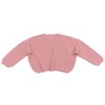 thumbnail image 1 of Toddler Baby Fall Winter Sweaters  Long Sleeve Knitted Pullover Clothes, 1 of 6
