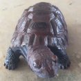 thumbnail image 3 of FUYPSE 2026 Nouvelle Arrivée Décoration de Statue de Tortue en Résine Résistante aux Intempéries, Artisanat Exquis, Sculpture d'Animal Artistique Simulée, Convient aux Jardins Extérieurs, Cours, Étangs, Cadeaux de Décoration, 3 of 7